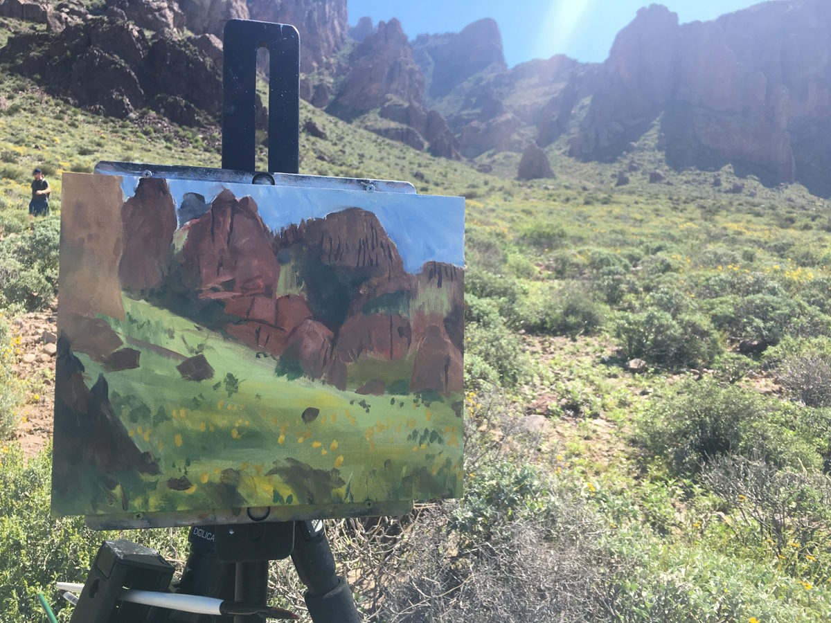 Spring in the Superstitions - Image 2